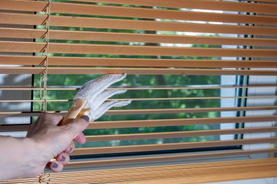 Local Cellular Blinds Cleaning in San Marcos, CA