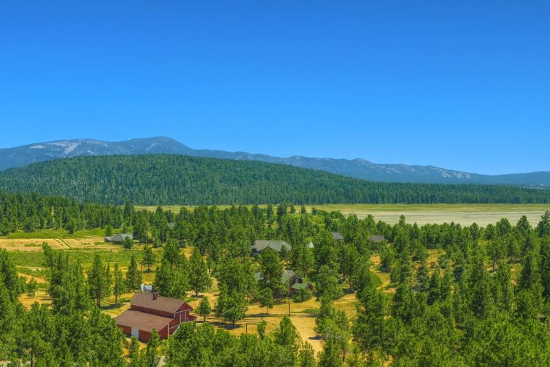 Local Cellular Blinds Cleaning in Big Bear City, CA