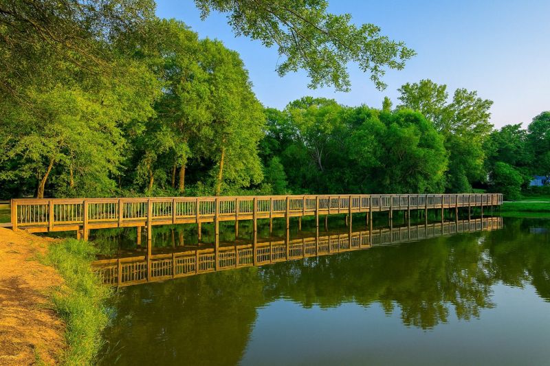 Local Cellular Blinds Cleaning in Davidson, NC