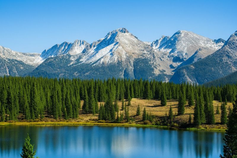 Local Remote Control Blinds Service in Lafayette, CO